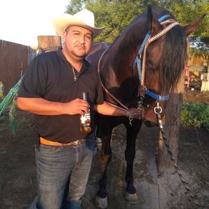 Meet your Posher, Tukan